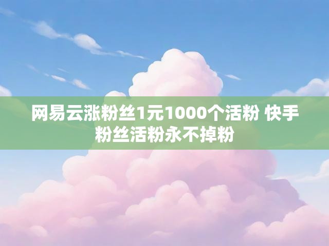 网易云涨粉丝1元1000个活粉 快手粉丝活粉永不掉粉