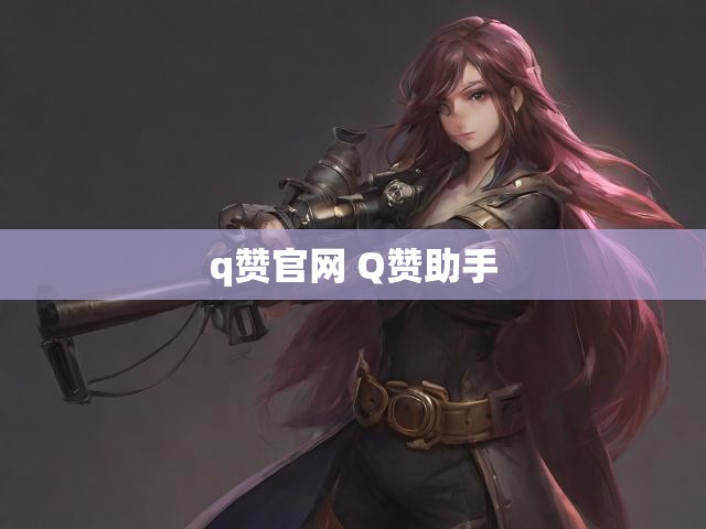 q赞官网 Q赞助手