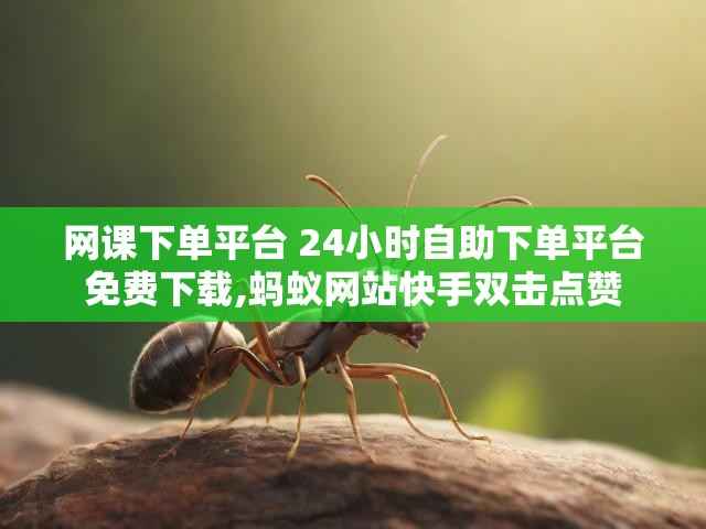 网课下单平台 24小时自助下单平台免费下载,蚂蚁网站快手双击点赞