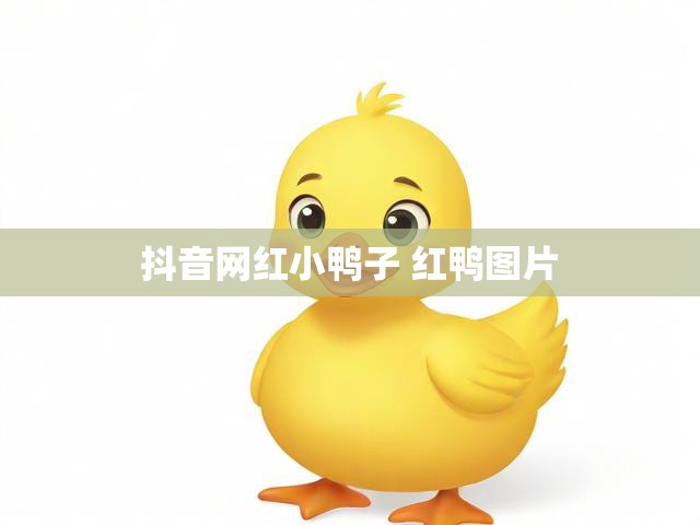 抖音网红小鸭子 红鸭图片