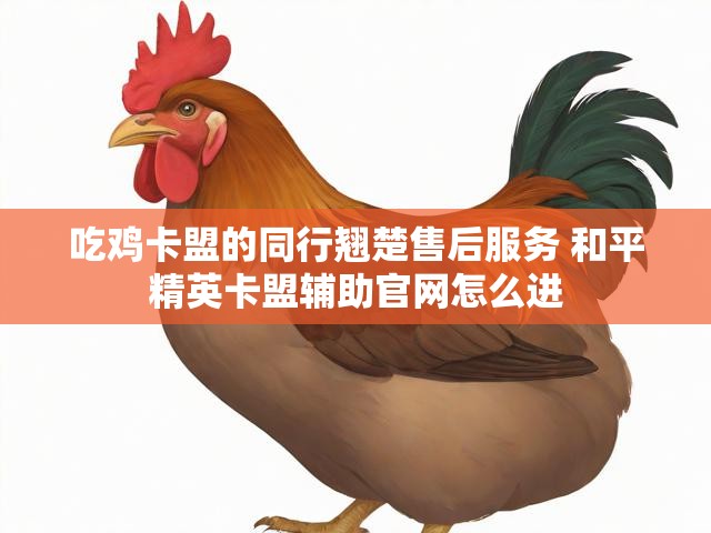 吃鸡卡盟的同行翘楚售后服务 和平精英卡盟辅助官网怎么进