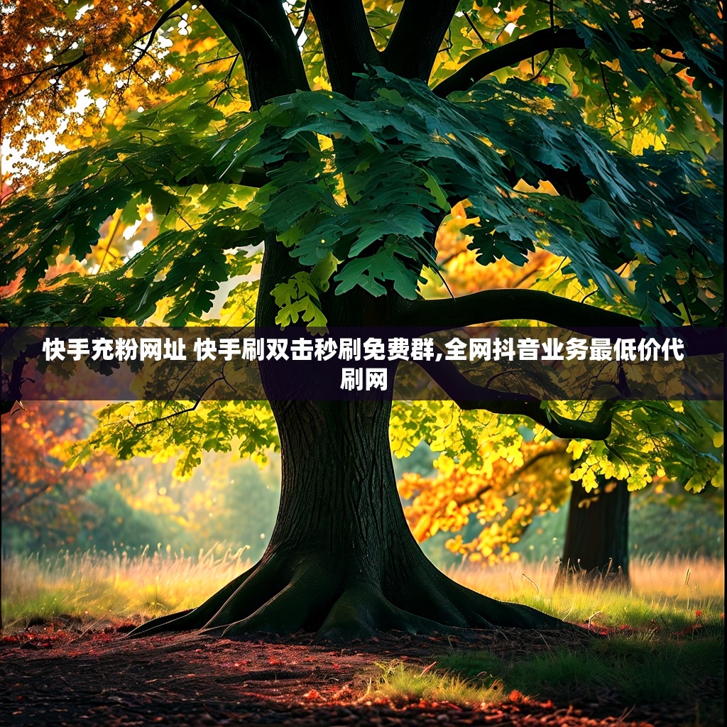 快手充粉网址 快手刷双击秒刷免费群,全网抖音业务最低价代刷网