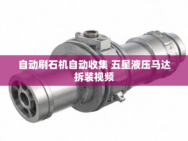 自动刷石机自动收集 五星液压马达拆装视频