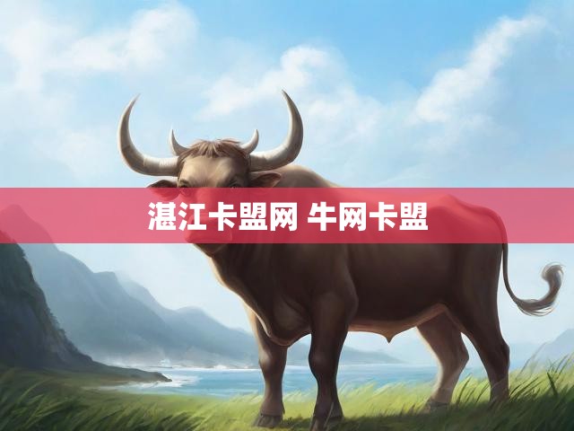 湛江卡盟网 牛网卡盟