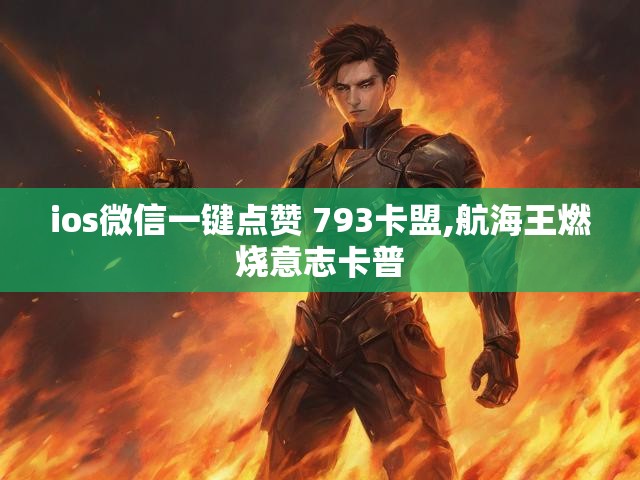 ios微信一键点赞 793卡盟,航海王燃烧意志卡普