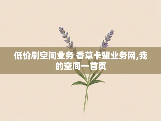 低价刷空间业务 香草卡盟业务网,我的空间一首页