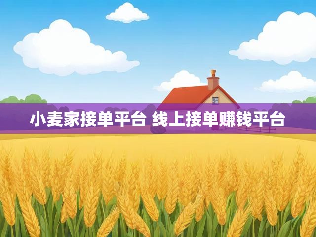 小麦家接单平台 线上接单赚钱平台