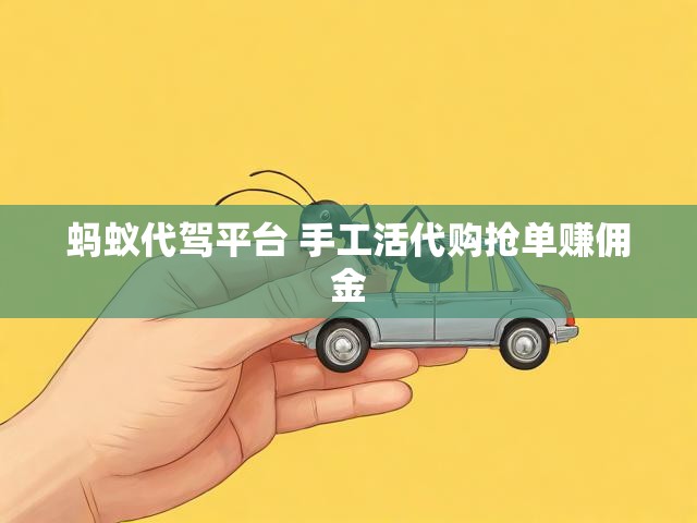 蚂蚁代驾平台 手工活代购抢单赚佣金