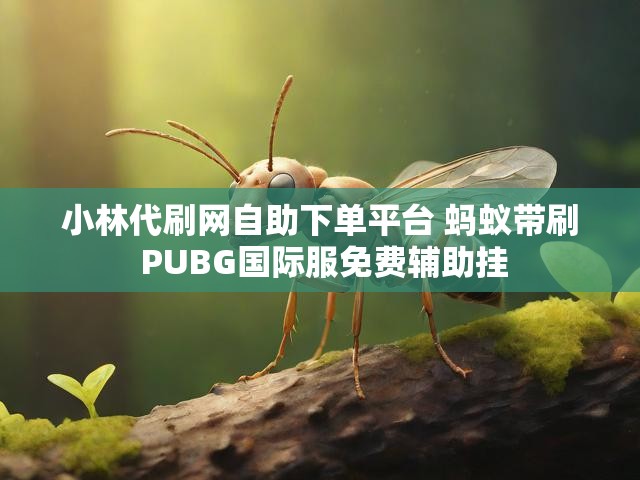 小林代刷网自助下单平台 蚂蚁带刷 PUBG国际服免费辅助挂